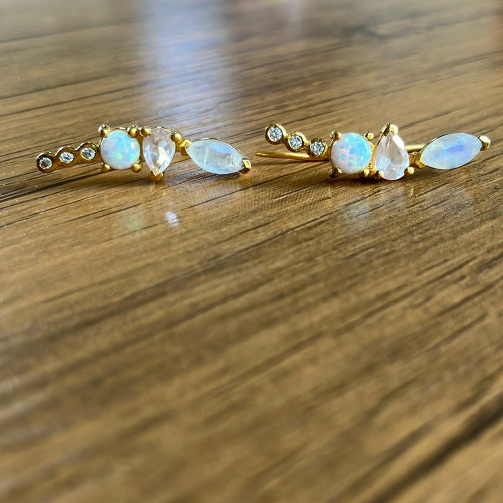 La Kaiser Rainbow Moonstone and Opal Wing Climbers